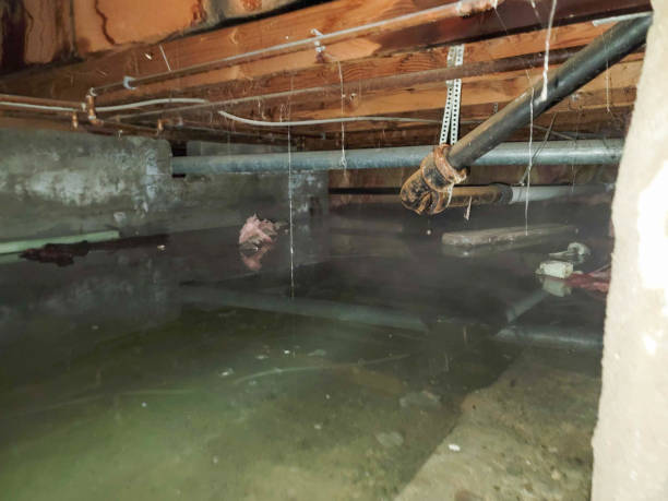 Carpet water damage restoration in UT