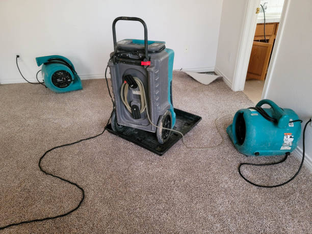 Best Residential water damage restoration  in Fairview, UT