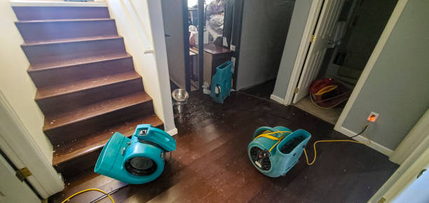 Best Water damage cleanup near me  in Fairview, UT