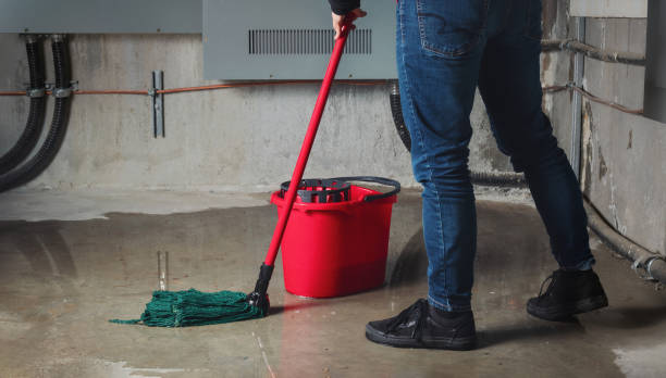 Best Water damage restoration insurance claims  in Fairview, UT