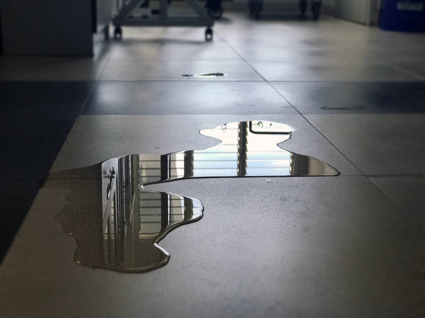 Water damage restoration experts in UT