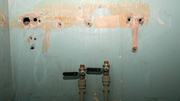 Best Sewage cleanup and water damage restoration  in Fairview, UT