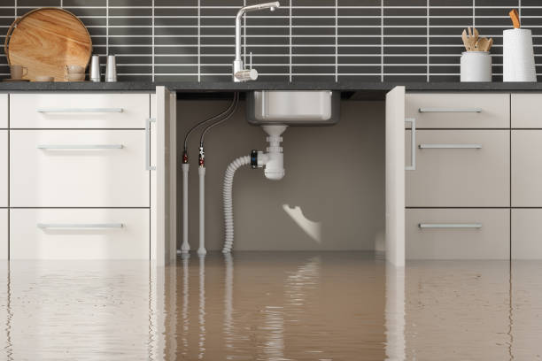 Best Fire Damage Restoration  in Fairview, UT