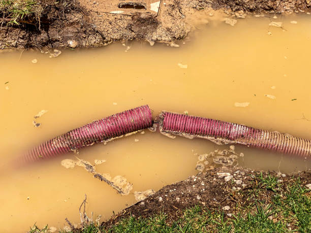Best Water damage restoration near me  in Fairview, UT